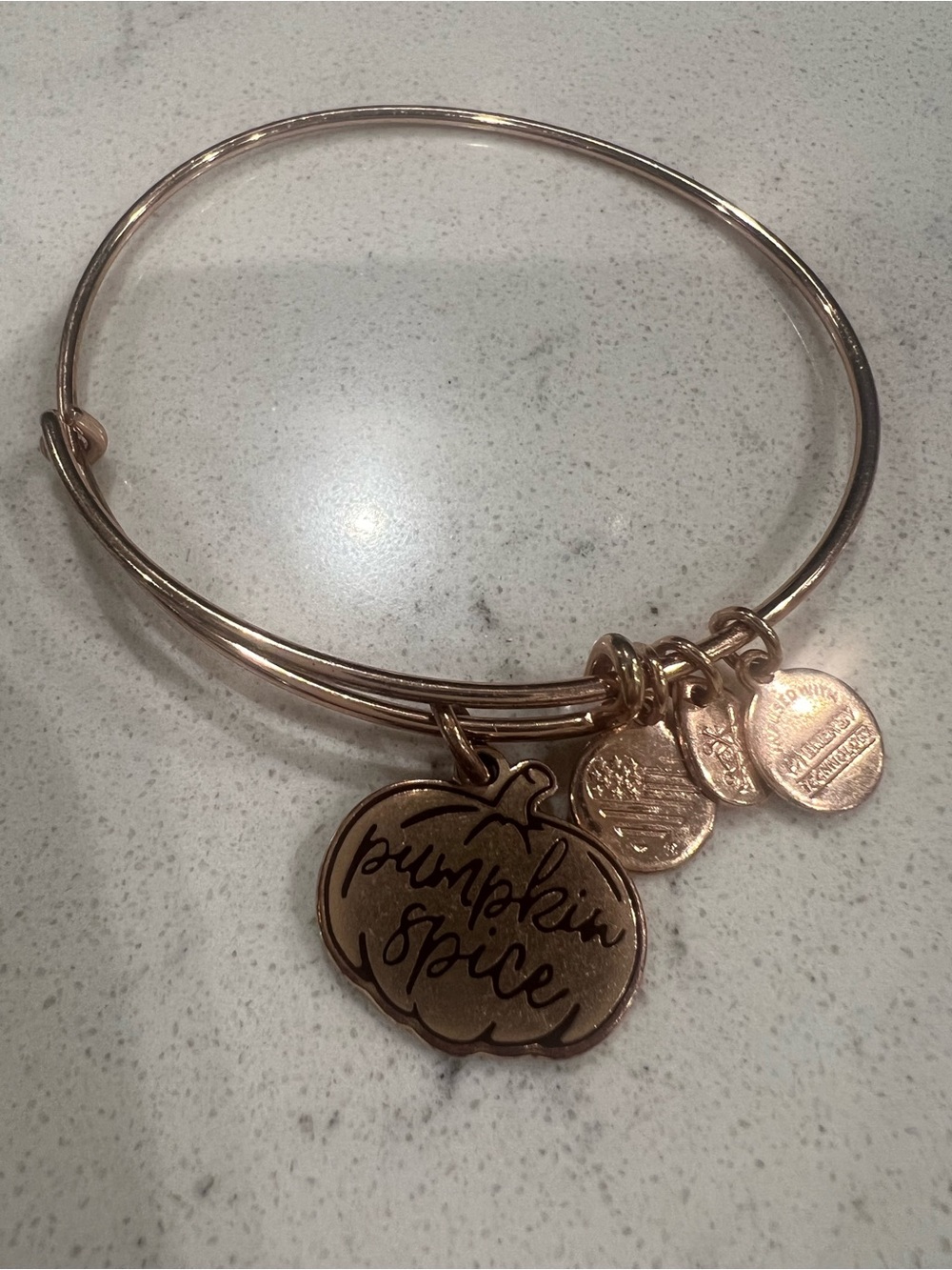 Alex and Ani Rose Gold Pumpkin Spice Charm Bangle